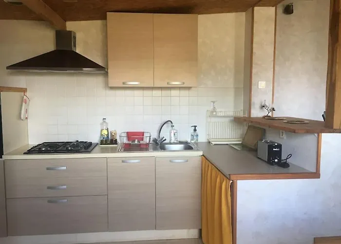 Le Gitanes De La Grotte Au Lion *