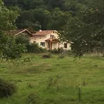 Le Gitanes De La Grotte Au Lion