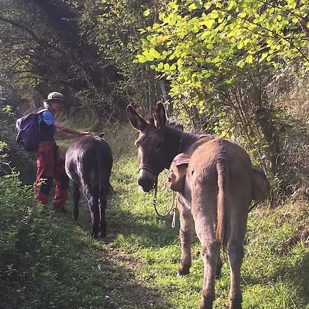 Le Gitanes De La Grotte Au Lion Holiday home Arbon