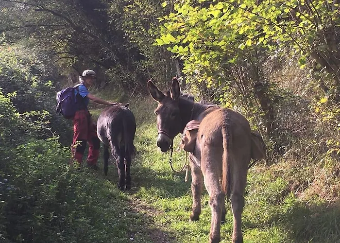 Le Gitanes De La Grotte Au Lion 別荘 Arbon