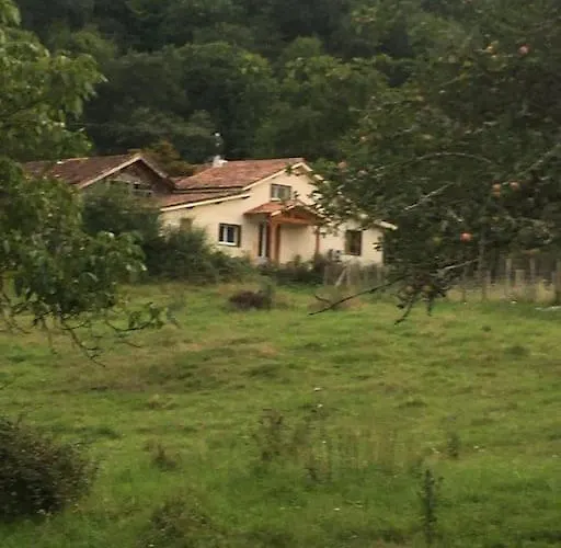 Le Gitanes De La Grotte Au Lion